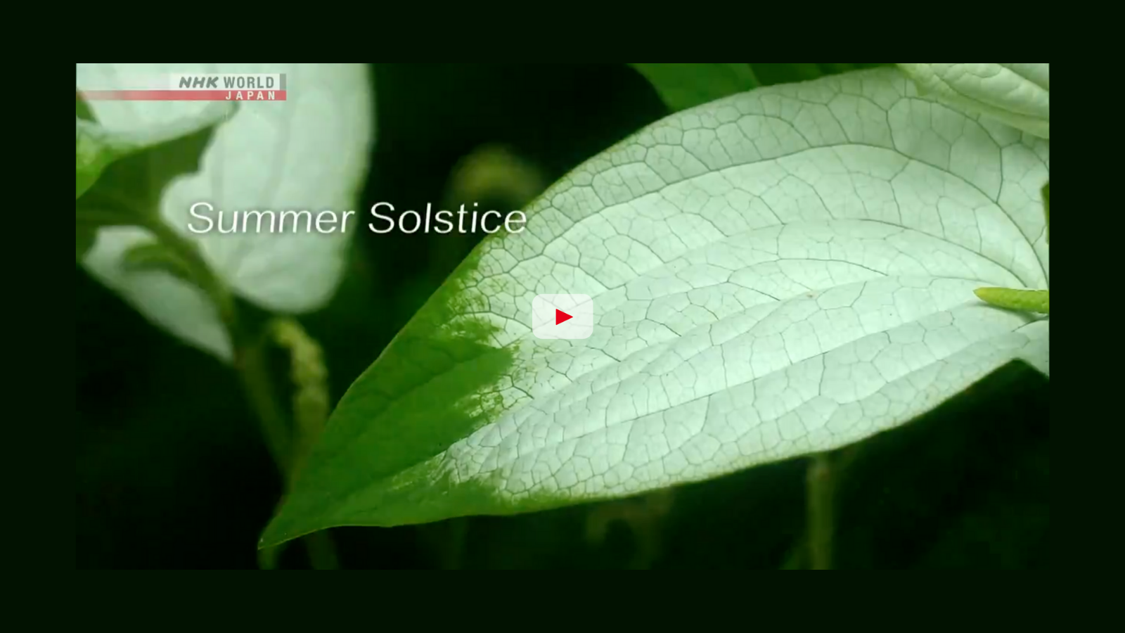 NHK World Summer Solstice Video